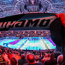 Подборка лучших фотографий сезона 9