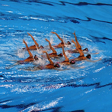 noc-12-06-2015-s-s-8-r