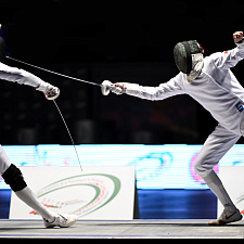 Fencing 4
