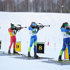 Biathlon 17