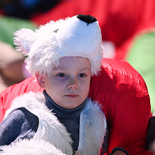 Олимпийская Елка 35 (1)