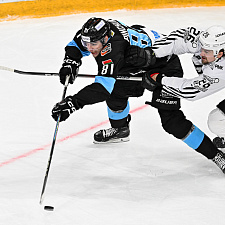 Подборка лучших фотографий сезона 119