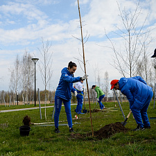 Saturday_NOC_04_2020 (4)