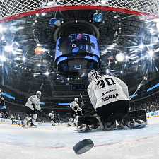 Подборка лучших фотографий сезона 109