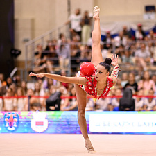 гимнастика 106