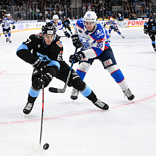 Подборка лучших фотографий сезона 79