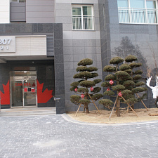 OG_village_NOC_BY_ (21)