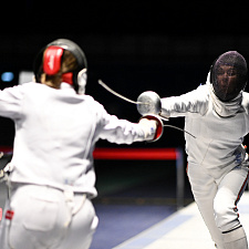 Fencing 7