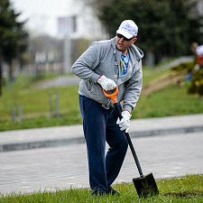 Saturday_NOC_04_2020 (31)