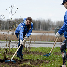 Saturday_NOC_04_2020 (25)