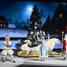 Олимпийская Елка 2025 2381