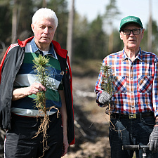 Неделя леса 26