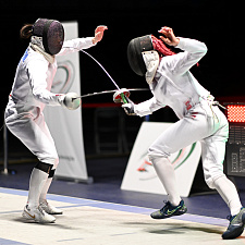 Fencing 10