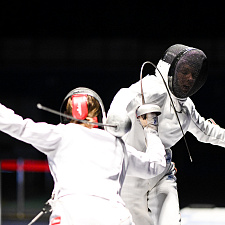 Fencing 6