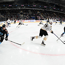 Подборка лучших фотографий сезона 15