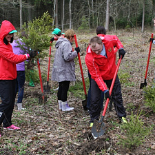 noc-les-08-04-2016-27