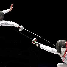 Fencing 11
