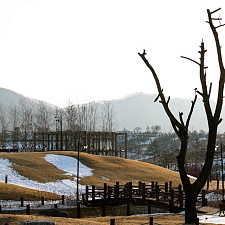 OG_2018_02_08_NOC_BY   (18)