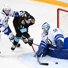 Подборка лучших фотографий сезона 61