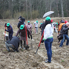 noc-les-08-04-2016-18