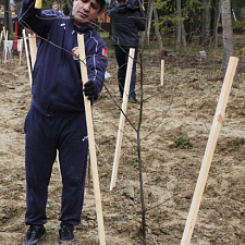 noc-les-08-04-2016-24