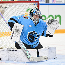 Подборка лучших фотографий сезона 56