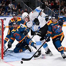 Подборка лучших фото сезона 43