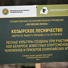 Неделя леса 3