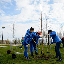 Saturday_NOC_04_2020 (5)