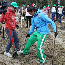 noc-les-08-04-2016-21