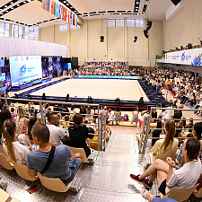 гимнастика 31