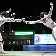 Fencing 9