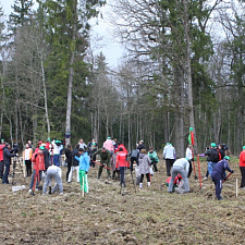 noc-les-08-04-2016-22