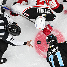 Подборка лучших фотографий сезона 46